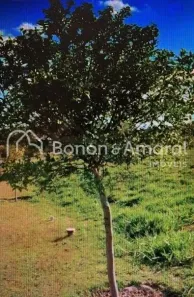 Lote/Terreno à venda, 1434m² no Loteamento Residencial Entre Verdes (Sousas), Campinas