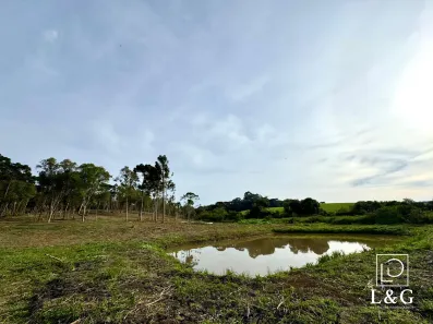 Fazenda/Sítio à venda, 20000m² no Bateias de Baixo, Campo Alegre