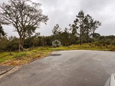 Lote/Terreno à venda, 392m² no Barreiro, Mairiporã