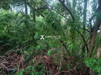 Lote/Terreno à venda, 1000m² no Recanto do Jataí, Sorocaba