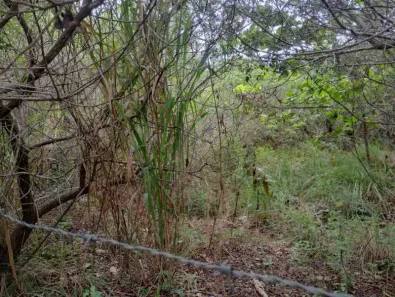 Lote/Terreno à venda, 1000m² no Marina, Armação dos Búzios