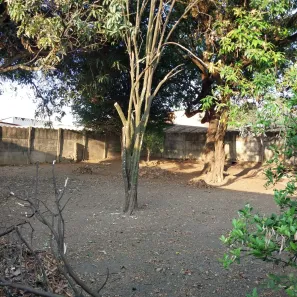 Casa com 2 Quartos à venda, 410m² no Novo Horizonte, Sete Lagoas
