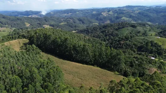 Fazenda/Sítio à venda, 65000m² no Centro, Anitápolis