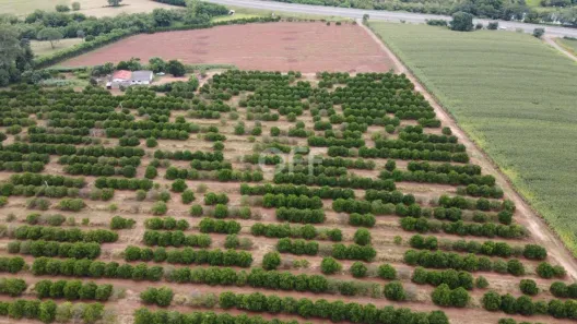 Lote/Terreno à venda, 112000m² no Jardim Primavera, Mogi Mirim