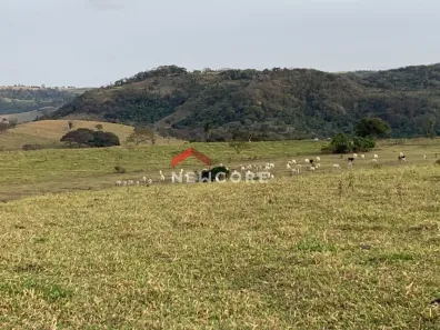 Fazenda/Sítio com 3 Quartos à venda, 500m² no Centro, Anhumas