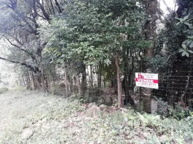 Lote/Terreno à venda, 4300m² no Kayser, Caxias do Sul