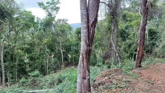 Lote/Terreno à venda, 537m² no Pessegueiros, Teresópolis