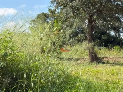 Fazenda/Sítio à venda, 2500m² no Vale das Cigarras, Santa Bárbara D'Oeste