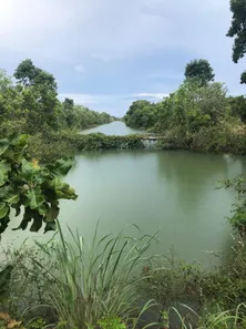 Fazenda/Sítio com 5 Quartos à venda, 1326m² no , Formoso do Araguaia