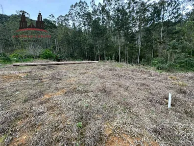 Fazenda/Sítio à venda, 2000m² no Área Rural de Antônio Carlos, Antônio Carlos