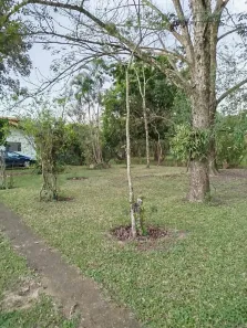Fazenda/Sítio à venda, 1500m² no Chácaras Planalto, Monte Mor