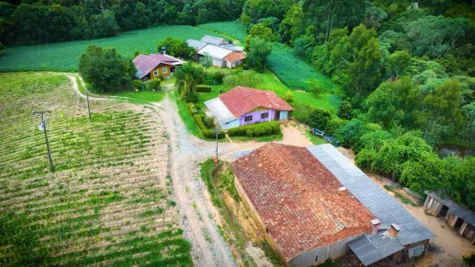 Casa com 4 Quartos à venda, 96000m² no , Piên