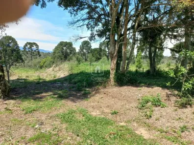 Lote/Terreno à venda, 4705m² no Campo Alto, Tijucas do Sul