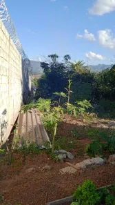 Lote/Terreno à venda, 800m² no Jequitibá, Igarapé