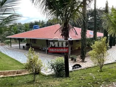 Fazenda/Sítio à venda, 1m² no , São Miguel do Passa Quatro