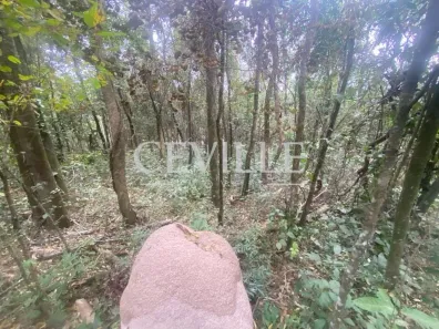 Lote/Terreno à venda, 1200m² no , Brumadinho