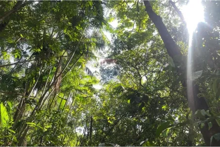 Fazenda/Sítio com 2 Quartos à venda, 100m² no Plano Diretor Sul, Palmas