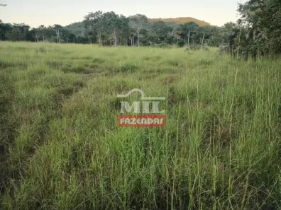 Fazenda/Sítio à venda, 1m² no Jardim Piauí, Araguapaz