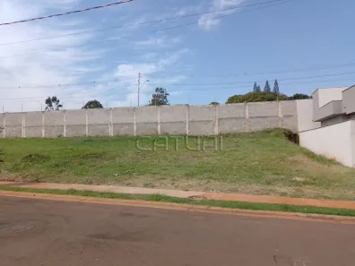 Lote/Terreno com 1 Quarto à venda, 250m² no Jardim Morumbi, Londrina