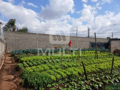 Lote/Terreno com 1 Quarto à venda, 100m² no Minas Gerais, Uberlândia