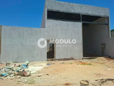 Galpão/Depósito/Armazém para alugar, 250m² no Segismundo Pereira, Uberlândia