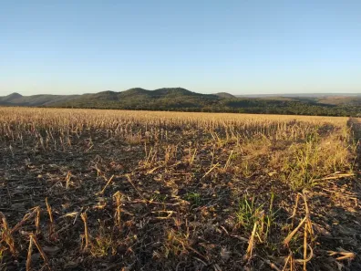 Fazenda/Sítio com 3 Quartos à venda, 500m² no Área Rural de Planaltina, Brasília