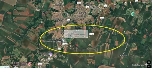 Fazenda/Sítio à venda, 10m² no Área Rural de Rolândia, Rolândia