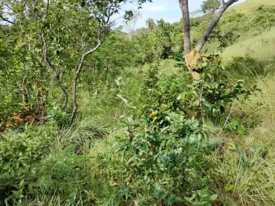 Fazenda/Sítio à venda, 380000m² no , Jaboticatubas