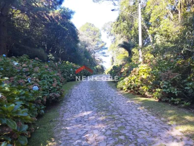 Lote/Terreno à venda, 5500m² no Centro, São Francisco de Paula