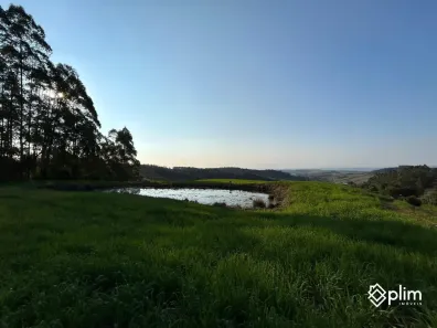 Fazenda/Sítio com 1 Quarto à venda, 16800m² no , Bom Retiro