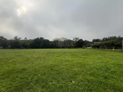 Lote/Terreno com 1 Quarto à venda, 9918m² no Ratones, Florianópolis