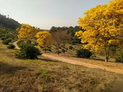 Fazenda/Sítio com 3 Quartos à venda, 80m² no Centro, Turvolândia