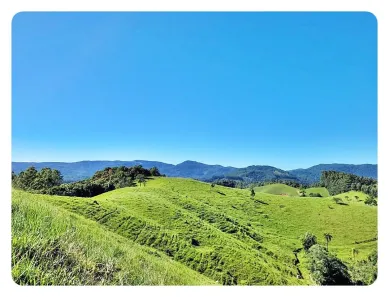 Fazenda/Sítio com 1 Quarto à venda, 236000m² no , Águas Mornas
