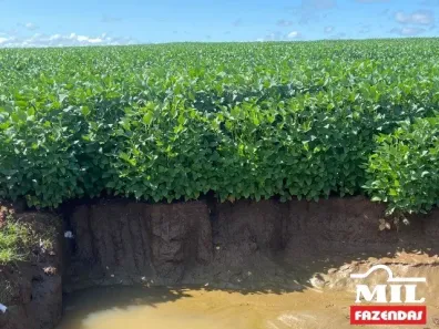 Fazenda/Sítio à venda, 1m² no Área Rural de Mineiros, Mineiros