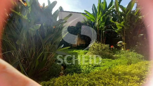 Casa com 4 Quartos à venda, 339m² no Granja Julieta, São Paulo