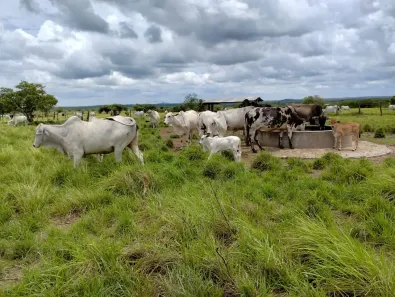 Fazenda/Sítio à venda, 1200000m² no Potengi, Natal