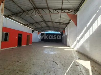 Galpão/Depósito/Armazém à venda, 262m² no Novo Horizonte, Serra