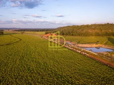 Fazenda/Sítio à venda, 10m² no Goiatins, Goiatins