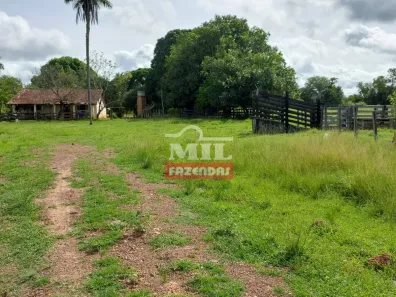Fazenda/Sítio à venda, 500m² no , Dueré