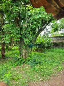 Lote/Terreno à venda, 450m² no Engenho do Mato, Niterói