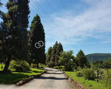 Fazenda/Sítio com 1 Quarto à venda, 5000m² no Avenida Central, Gramado