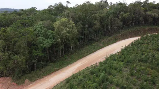 Fazenda/Sítio com 1 Quarto à venda, 20000m² no , Campo Largo