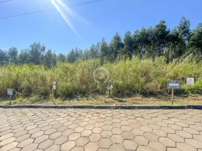 Lote/Terreno à venda, 363m² no , Presidente Lucena