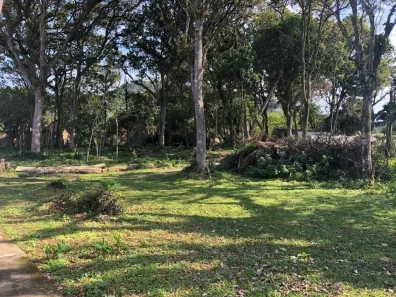 Lote/Terreno à venda, 1236m² no Vila Nova, Imbituba