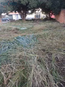 Lote/Terreno à venda, 250m² no Jardim São Camilo, Hortolândia