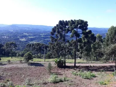 Lote/Terreno à venda, 26m² no , Nova Petrópolis