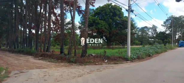 Imóvel Comercial à venda, 19575m² no Iporanga, Sorocaba