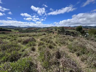 Lote/Terreno à venda, 4115m² no , Toledo