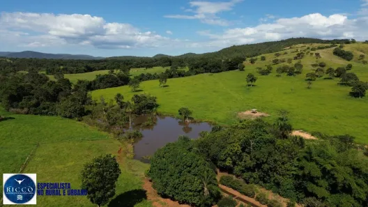 Fazenda/Sítio com 3 Quartos à venda, 166m² no Setor Central, Vila Propício