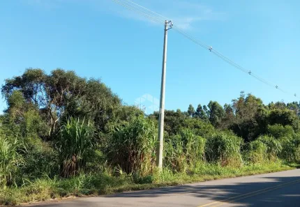 Fazenda/Sítio à venda, 40000m² no , Linha Nova